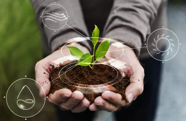 Los Agro emprendimientos: Una tendencia de desarrollo empresarial en el pas