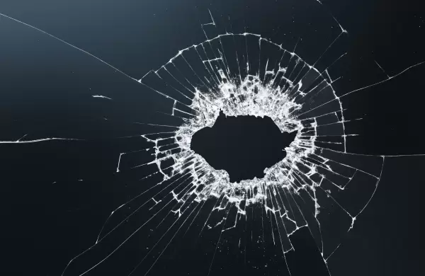 Balance del primer año