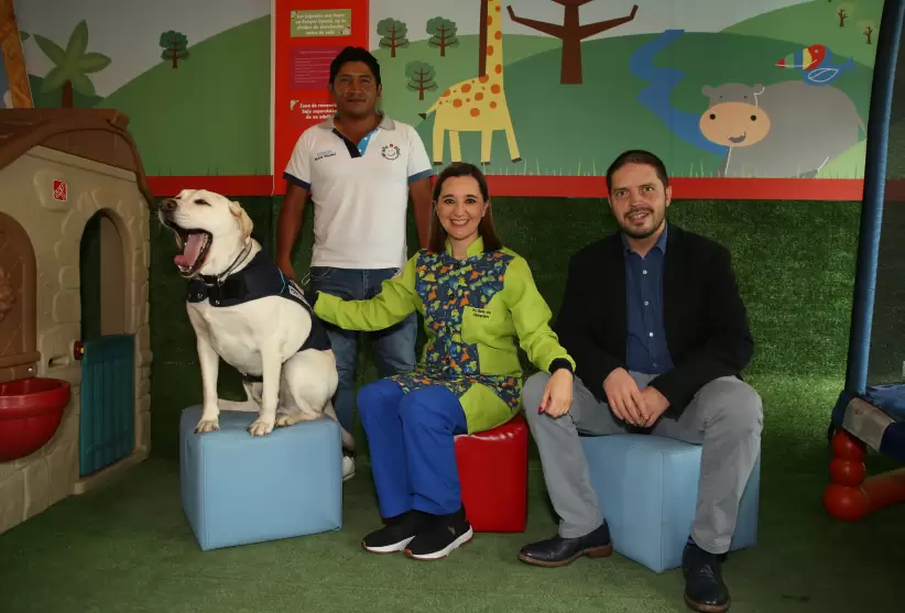 Parque dental y su mascota Quito - Ecuador