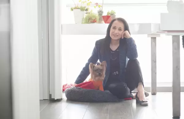 Olivia, la York Terrier que es alma, vida y corazn de la gerente de FZM Arquitectas