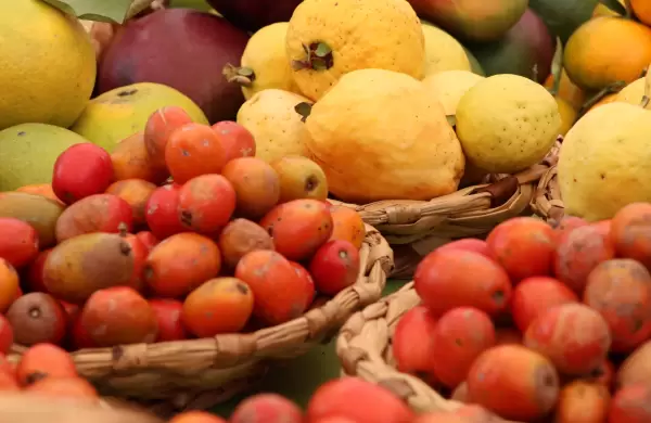 Los agricultores ecuatorianos perdieron US$ 107,5 millones por el paro