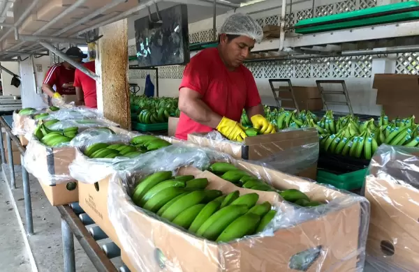 El sector exportador se pronuncia a favor del restablecimiento del orden