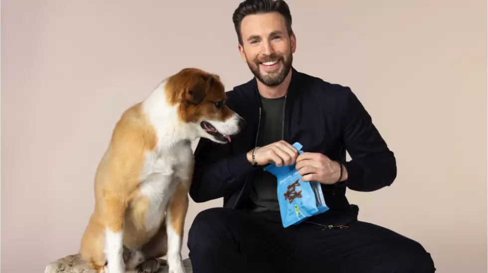 Chris Evans junto a su perro Dodger