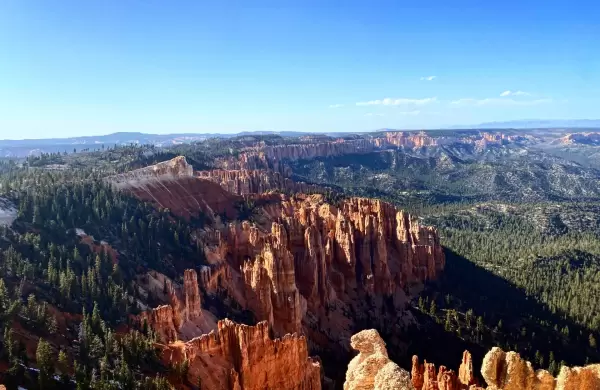 Un viaje asombroso por cuatro parques nacionales en una semana
