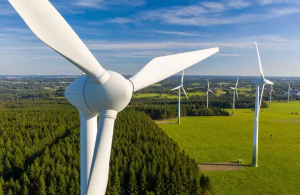 Las acciones de energas renovables se desploman a medida que la ecologa se vuelve "cara"