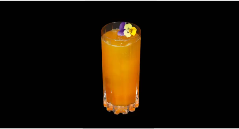 CENIT - 10 cocteles Forbes