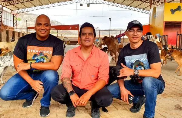 Las NFT del StrayDogsClub de Manta estn Guaaaau!