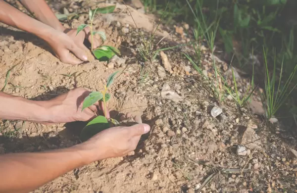 Invasiones a la vista