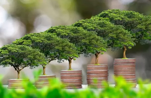 Boom de inversiones verdes en América Latina: las finanzas sostenibles generan bonos por más de US$ 48.000 millones