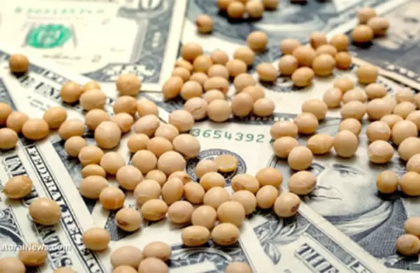 Por qué la guerra comercial favorece las ventas de soja de la Argentina y Brasil
