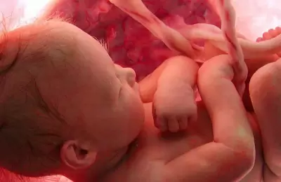 Sorprendente investigación demuestra que los bebés recién nacidos