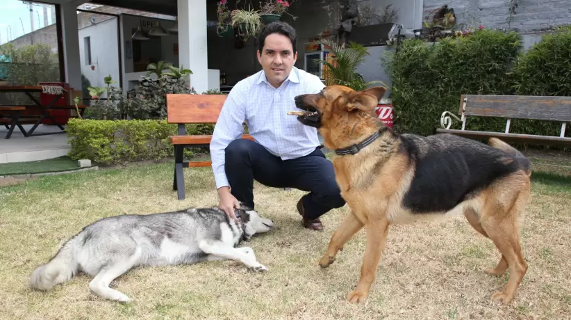 Mateo Landivar y sus mascotas Quito - Ecuador