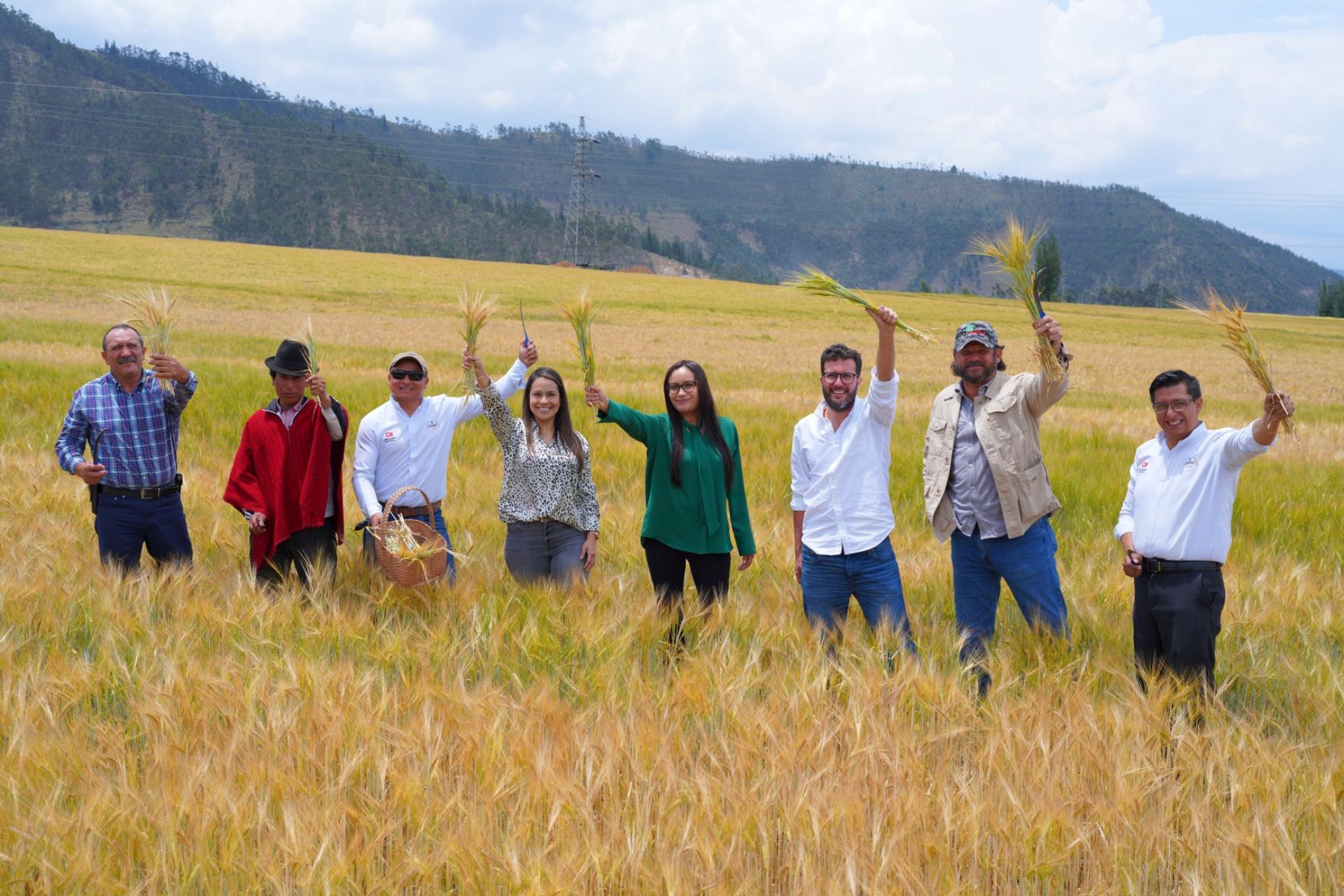 Cervecería Nacional anuncia la primera cosecha de cebada maltera - Forbes  Ecuador