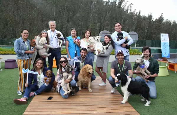 Es viernes y los perros en Telefnica Ecuador lo saben