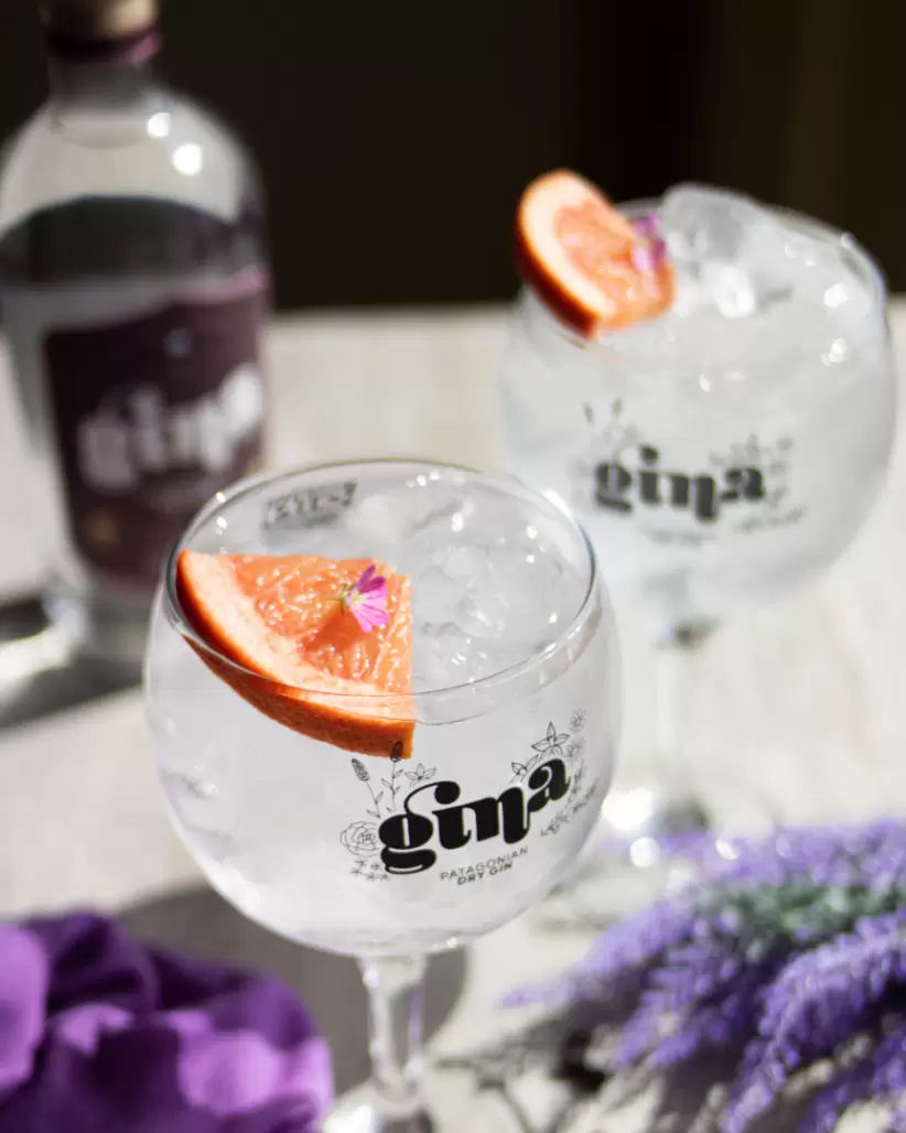 gina gin 1 - ph sofia bruner (sofia_bruner.ph)