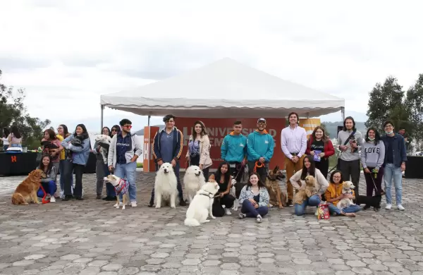 Las mascotas tambin estudian en la Universidad Hemisferios