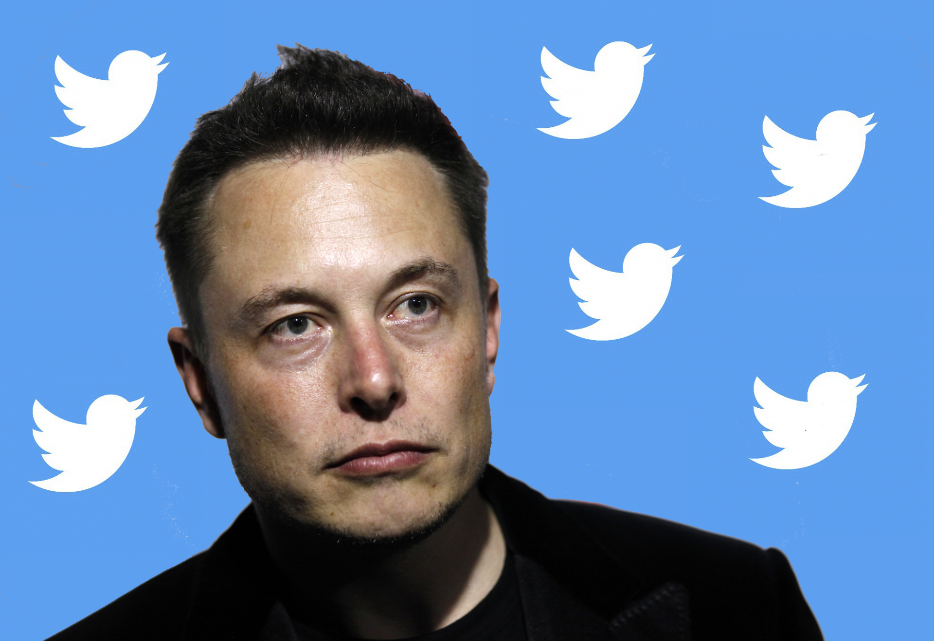 Otro escándalo para Elon Musk: Imágenes de niños desnudos se venden por  Twitter - Forbes Ecuador