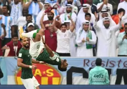 Todo tiene precio: Qu regalo recibirn los jugadores de Arabia Saudita por haberle ganado a la Argentina