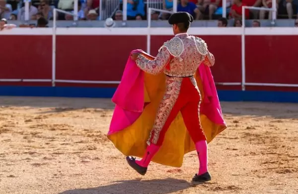 Los toros
