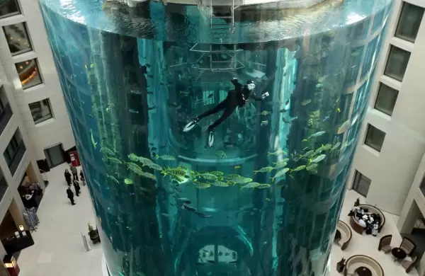 Videos: Enorme acuario con 1.500 peces explota en un famoso hotel de Berlín