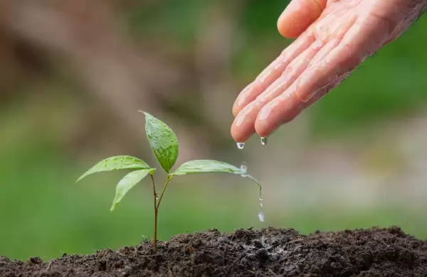 Conceptos e ideales para empezar el 2023