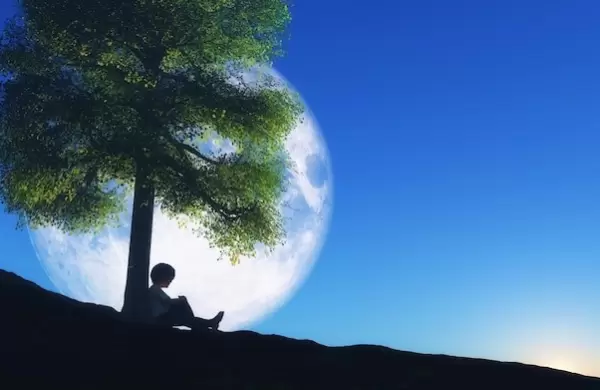 El árbol de los sueños