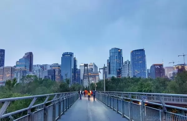 Cómo los líderes empresariales pueden acelerar la transición ecológica