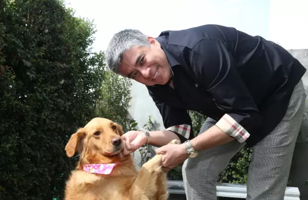 Es posible amar ms a un Golden Retriever? Este CEO cree que s