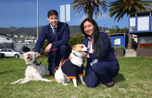 Seis trabajadores peludos alegran las jornadas de manejo