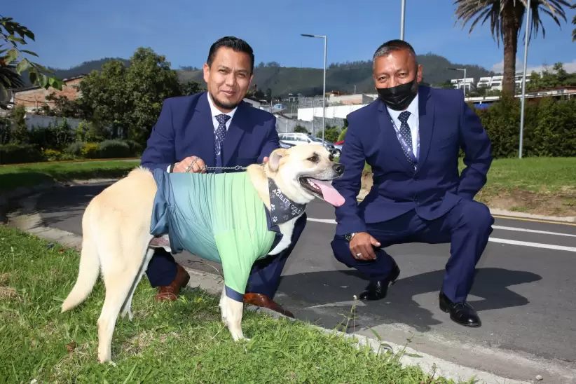 Empresa ANETA y sus mascotas Quito - Ecuador