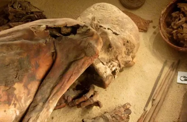 Descubren con qué materiales los egipcios momificaban a sus muertos para mantenerlos intactos