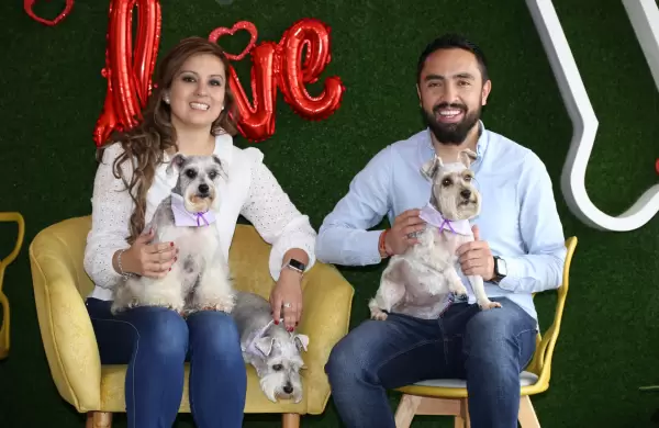 Dejaron sus trabajos por las burbujas y los perros