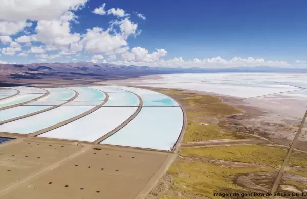 Promesas y realidades del oro blanco