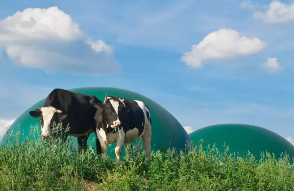 Por qué el biogás se posiciona como una alternativa sustentable que podría resolver la demanda eléctrica