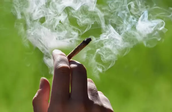 Por qué el consumo de marihuana podría aumentar el riesgo cardíaco
