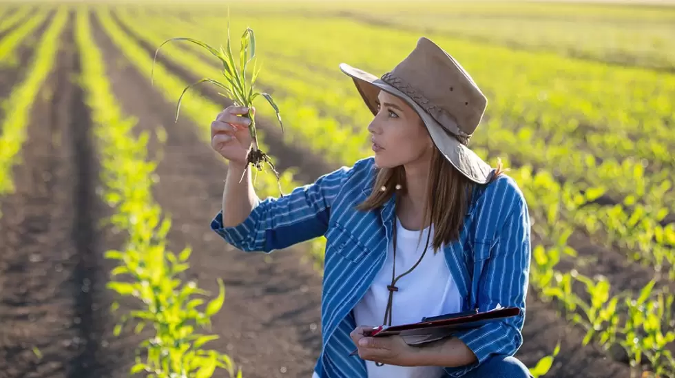 Mujer agro campo