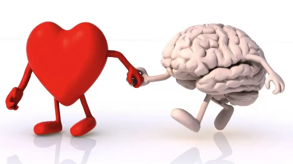 heart-and-brain