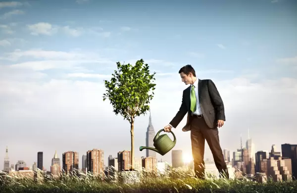 El cambio global hacia la sostenibilidad está siendo afectado por la polarización política