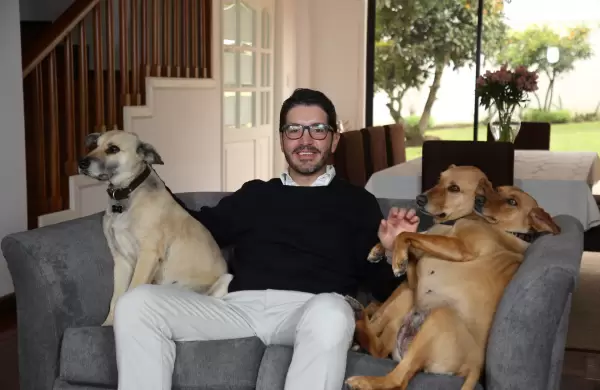 Hasta dnde crecer esta maravillosa manada?