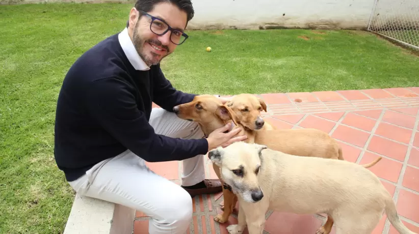 Pablo Cisneros y sus mascotas Quito - Ecuador