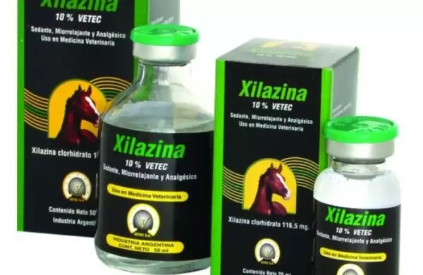 Estados Unidos declara la xilazina o "droga zombi" como una amenaza para la nación