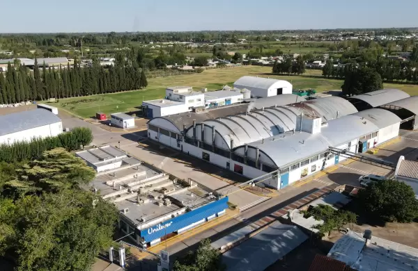La única deshidratadora de Unilever está en Mendoza: así es la planta de Knorr que procesa verduras y hortalizas para la Argentina y el exterior