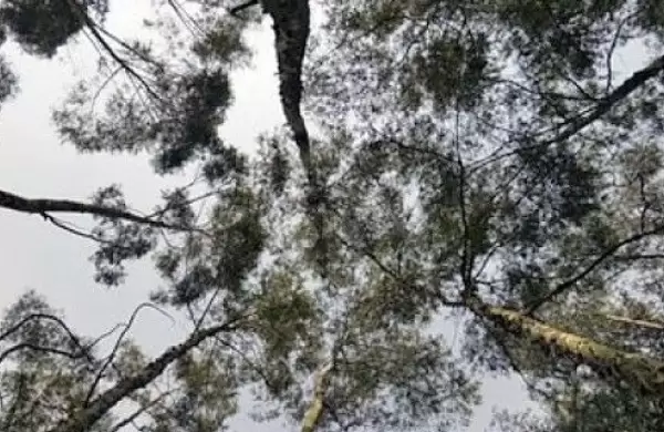 Un cambio en la Sierra