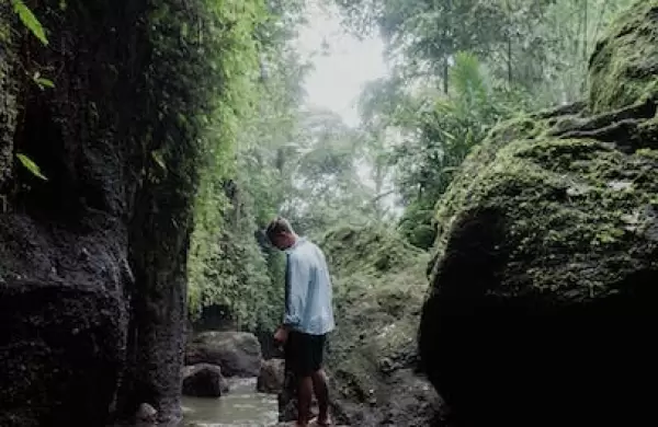 Qué significa para los países latinoamericanos la nueva ley europea "Deforestation free"