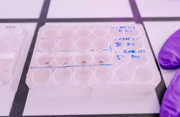 Cómo es la piel "fabricada" en la que L'Oréal testea sus productos