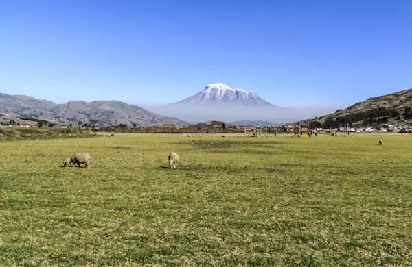 Perspectivas desde el pas olvidado
