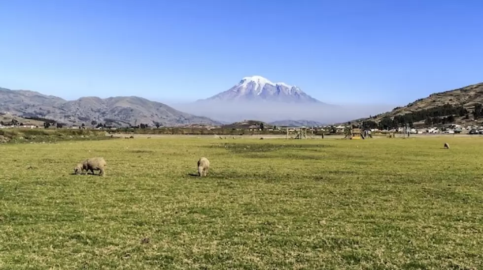 Ecuador campo