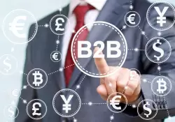 Cmo crece el vertical B2B en empresas fintech y crypto argentinas en 2023