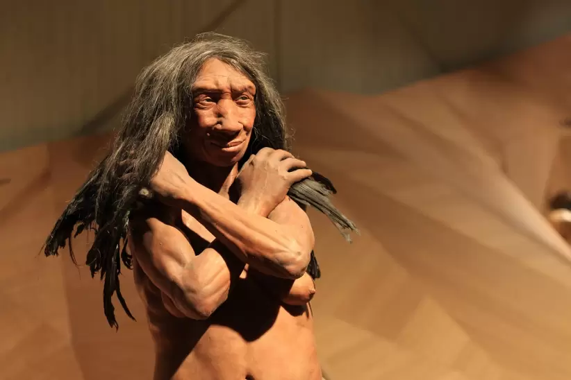 neandertal, edad de piedra, cavernícola