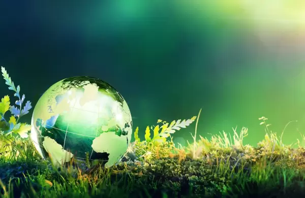 Blockchain y sustentabilidad: cmo usar esta tecnologa a favor del medio ambiente